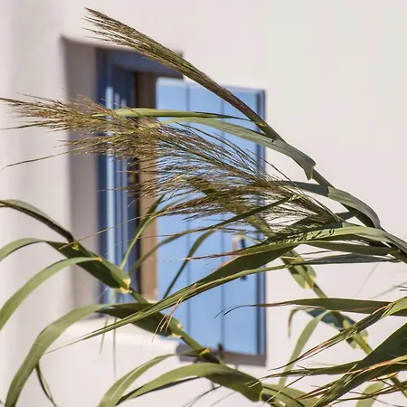 Σπίτι διακοπών Electra Village Mykonos